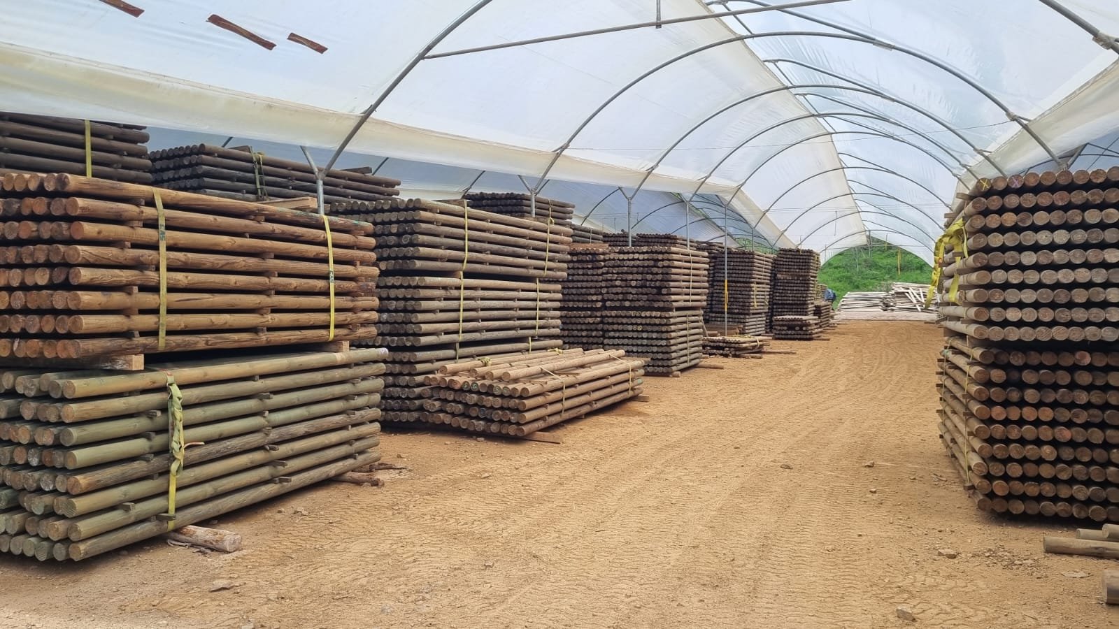 Acopio de madera en bodega