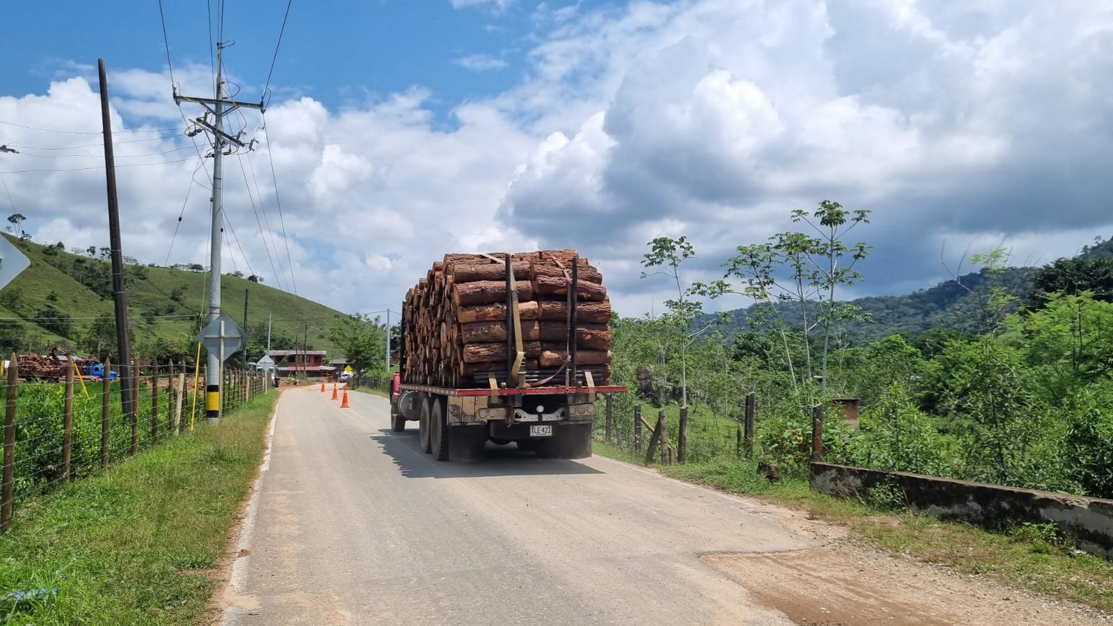 Muelles en madera inmunizada
