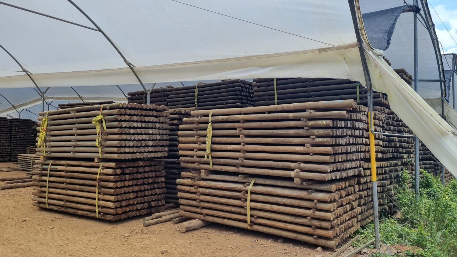 Kiosco en madera inmunizada con techo de palma